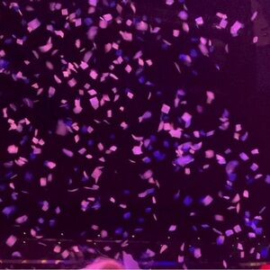 Conan Gray Concert Confetti